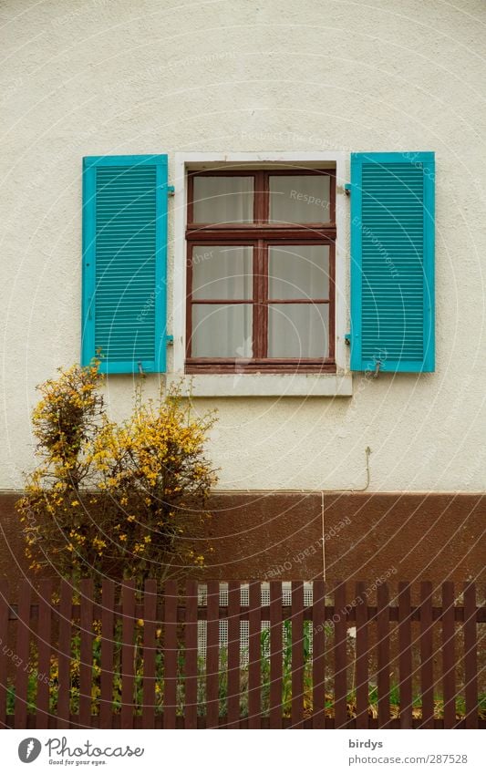 rural Living or residing Garden fence Front garden Village Small Town Detached house Facade Window Shutter Lattice window Authentic Friendliness Beautiful