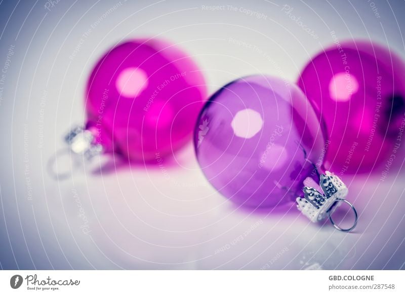 Tree wanted (2) Christmas & Advent Decoration Kitsch Odds and ends Glass Modern Round Violet Pink Winter mood Fragile Transparent Fastening December