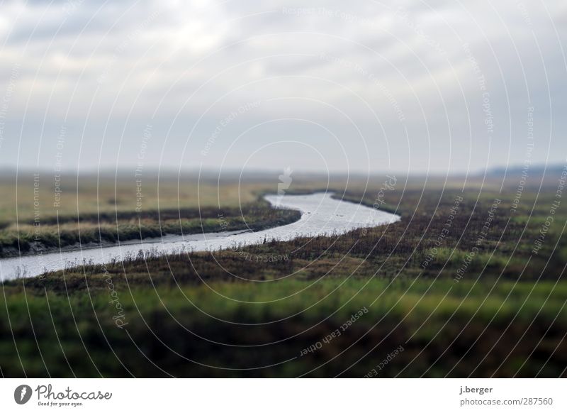 marshland Vacation & Travel Far-off places Freedom Ocean Nature Landscape Plant Water Sky Clouds Horizon Autumn Bad weather Fog Coast North Sea Brown Green