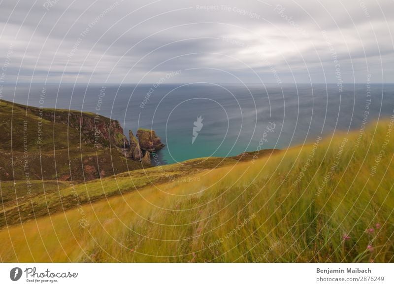 Lonely coast Vacation & Travel Tourism Adventure Far-off places Freedom Ocean Nature Landscape Plant Water Sky Clouds Summer Weather Wind Grass Rock Coast