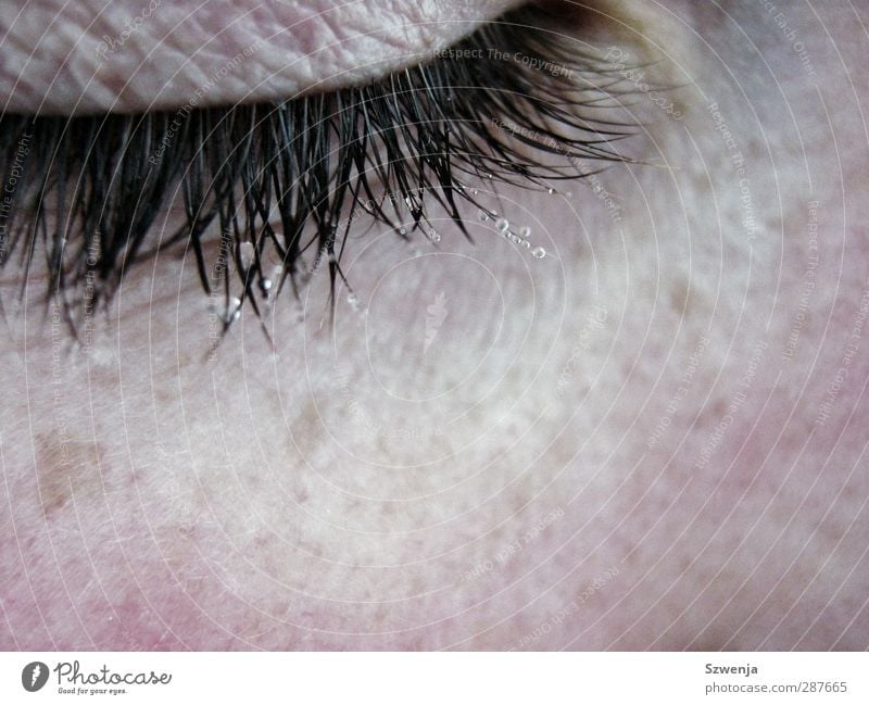 winter cold Feminine Skin Eyes Water Drops of water Winter Cold Wet Dew Colour photo Close-up Macro (Extreme close-up)