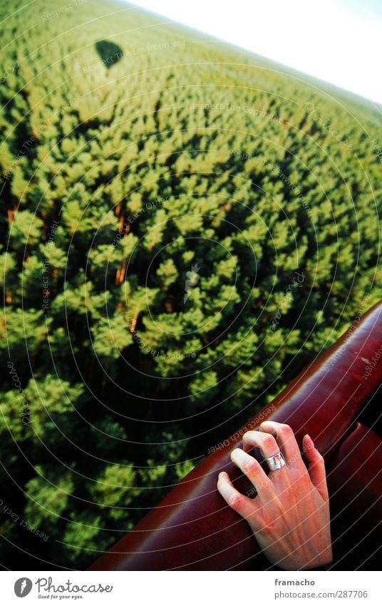 fear Trip Adventure Far-off places Freedom Summer Feminine Hand Fingers 1 Human being Environment Nature Landscape Plant Animal Air Beautiful weather Forest