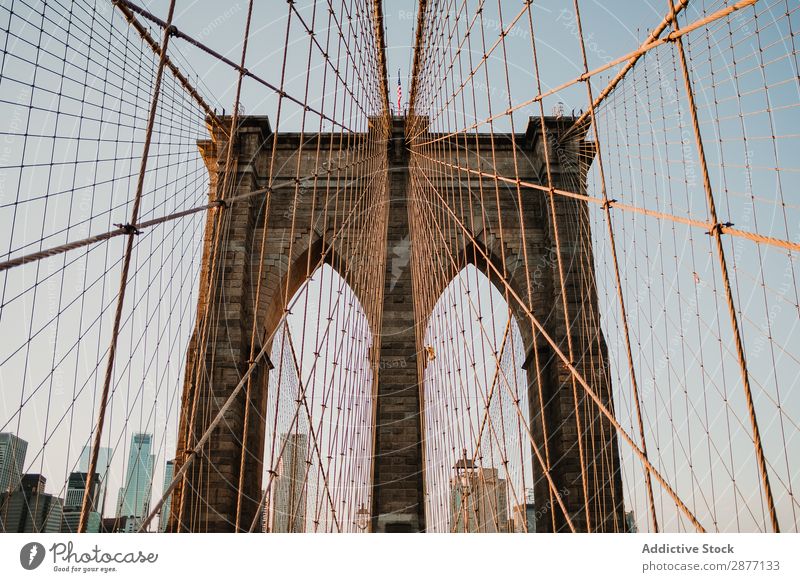 Bridge cables in perspective view against cityscape Architecture Skyline New York america USA Street Iron chain Contemporary Landscape Perspective Construction