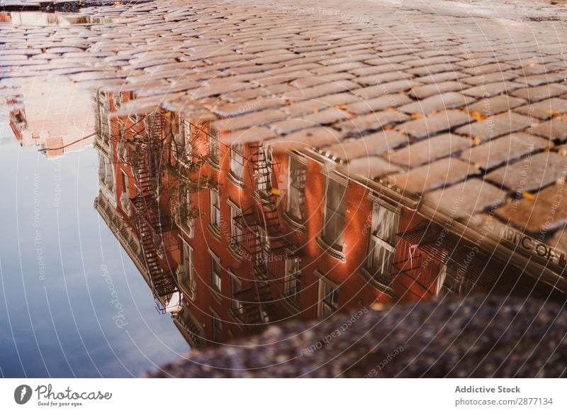 Building reflection in puddle on pavement Street Puddle Reflection New York City Pavement Cobblestones Water Sidewalk america USA Downtown Old Red Multicoloured