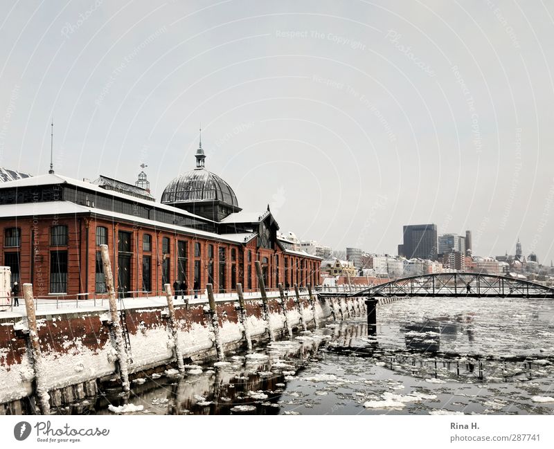 Hamburg harbour in winter Winter Beautiful weather Ice Frost Snow River Elbe Port City Bridge Building Architecture Tourist Attraction Navigation