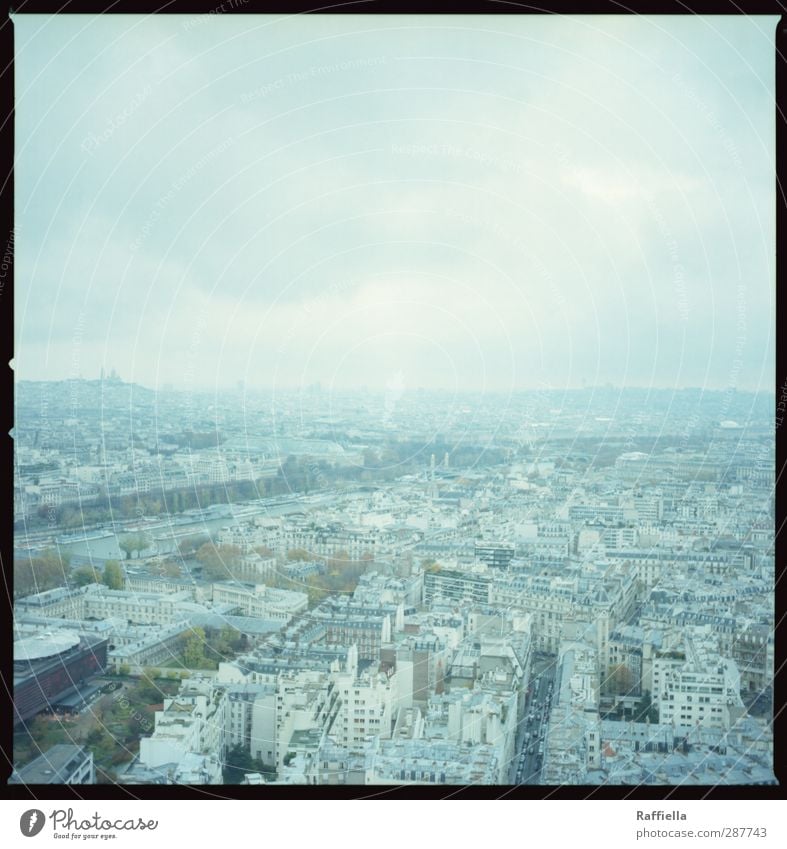 Paris I Town Capital city Populated House (Residential Structure) High-rise Blue Vantage point Eiffel Tower Tree Sky Clouds Clouds in the sky Consistent