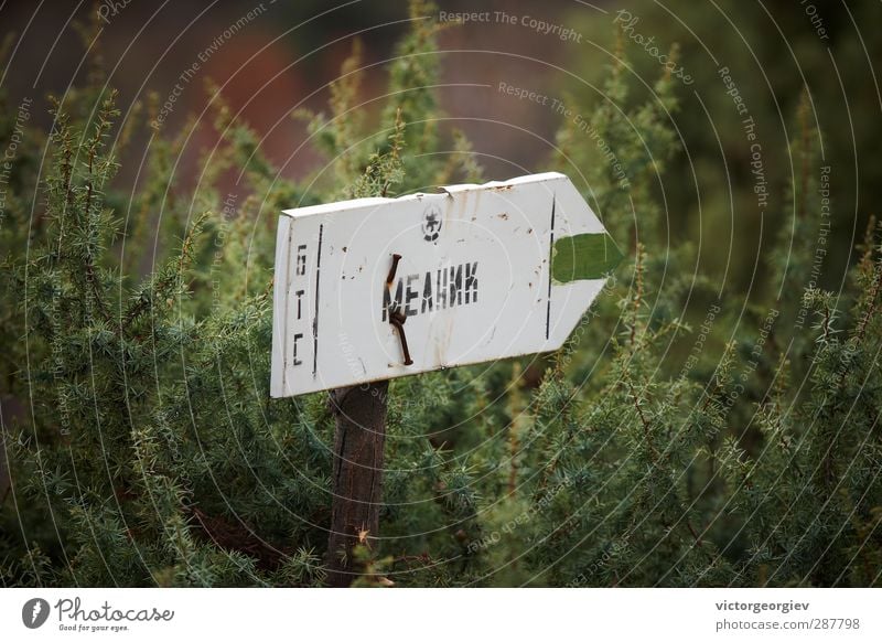 Tourist sign in Bulgarian mountain Vacation & Travel Tourism Trip Adventure Far-off places Expedition Mountain Hiking Plant Spring Summer Bushes Wood Metal Sign