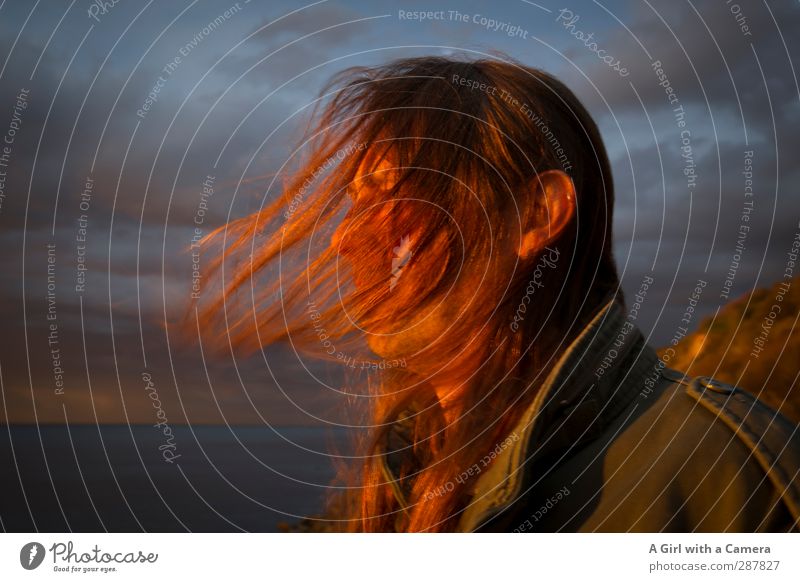 Hiddensee - Mein hübsche Mann Human being Masculine Young man Youth (Young adults) Hair and hairstyles 1 30 - 45 years Adults Orange Long-haired Multicoloured