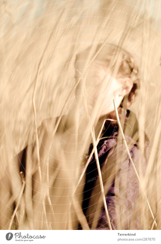 Hiddensee | zopf.zeit Field Grass Child Human being Girl Braids Plaited Hair and hairstyles Blur Hide Going Stride Summer Sun Jacket Wind Infancy