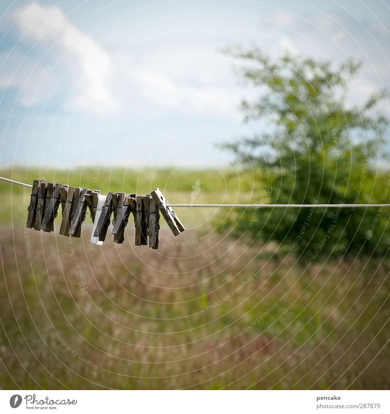 time to say goodbye Nature Landscape Summer Beautiful weather Wind Meadow Coast Faded Emotions Moody Goodbye Clothes peg Clothesline Bushes Clouds in the sky