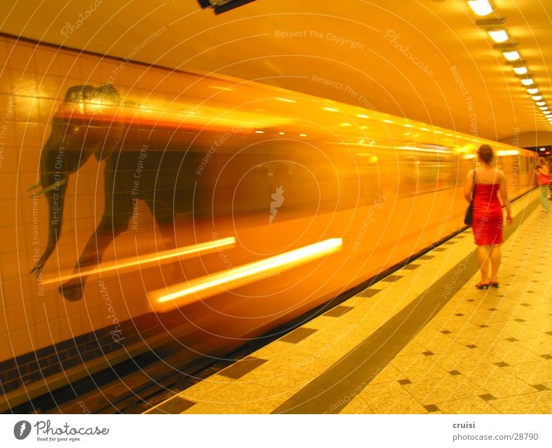 elephant race Underground Commuter trains Railroad Railroad tracks Speed Blur Yellow Tunnel Elephant Transport Berlin Orange