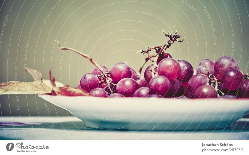 grape platter Food Fruit Nutrition Dinner Organic produce Vegetarian diet Wine Delicious Bunch of grapes Plate Vine Violet Red Food photograph Dessert Vitamin