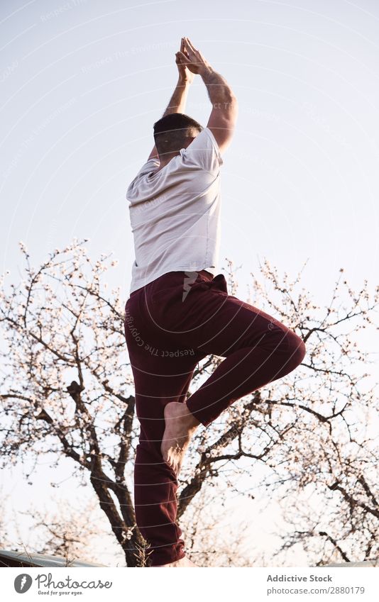 Anonymous man doing yoga in spring garden Man Yoga Garden Spring Tree Meditation Sky Beautiful weather Blooming Seasons Barefoot Harmonious Idyll Zen Practice