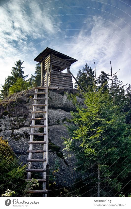 high stand Environment Nature Landscape Plant Air Sky Clouds Summer Climate Weather Beautiful weather Tree Bushes Moss Forest Hill Rock Hut Stone Wood Tall Blue