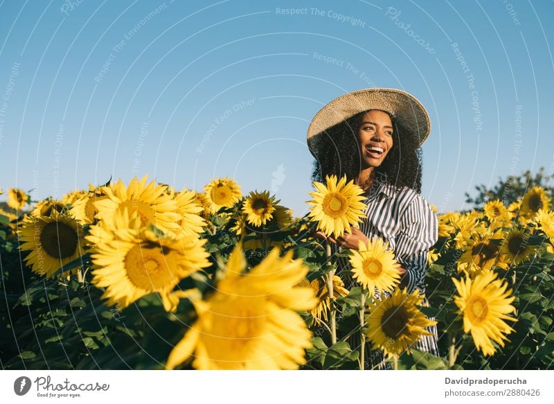 Happy young black woman in a sunflower field Woman Sunflower Field Ethnic Black Curly African mixed-race Cute Youth (Young adults) Smiling sunflowers