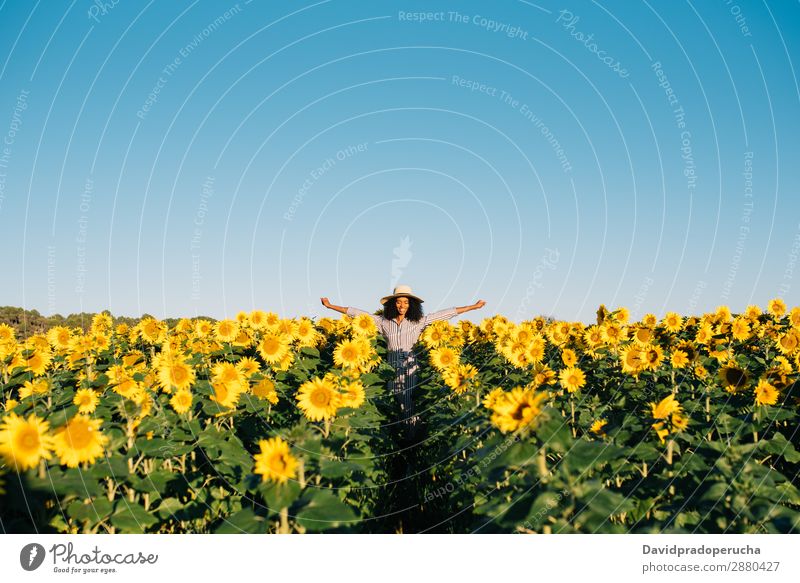 Happy young black woman walking in a sunflower field Woman sunflowers Yellow Ethnic Beautiful Cute Summer Meadow Sky African Plantation Floral Agriculture