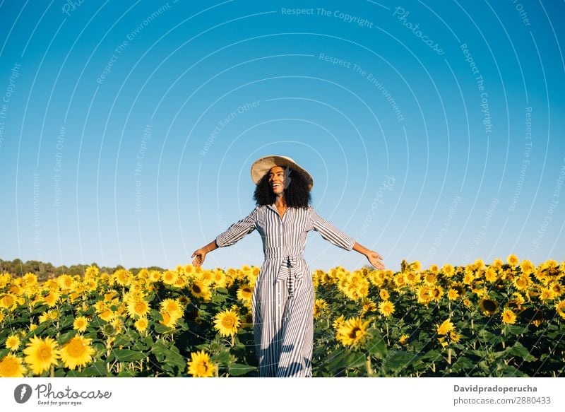 Happy young black woman walking in a sunflower field Woman sunflowers Yellow Ethnic Beautiful Cute Summer Meadow Sky African Plantation Floral Agriculture