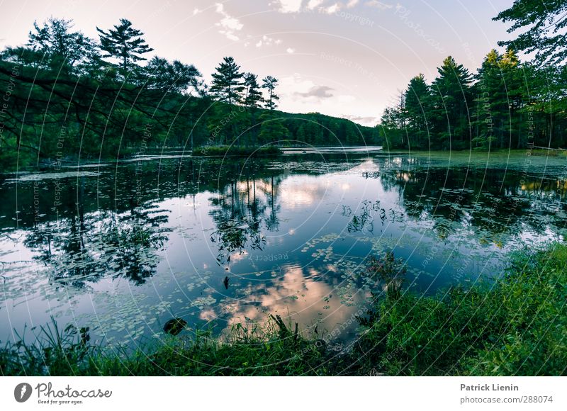 Tomorrowland Vacation & Travel Trip Adventure Far-off places Sun Environment Nature Landscape Plant Elements Water Sky Clouds Sunrise Sunset Summer Climate