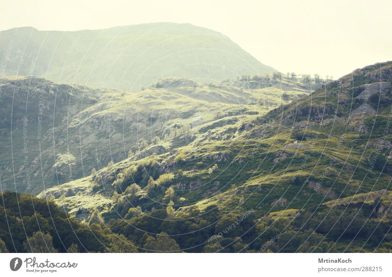 let england shake. Environment Nature Landscape Plant Earth Sky Sunlight Spring Summer Beautiful weather Foliage plant Field Forest Hill Rock Peak Fern