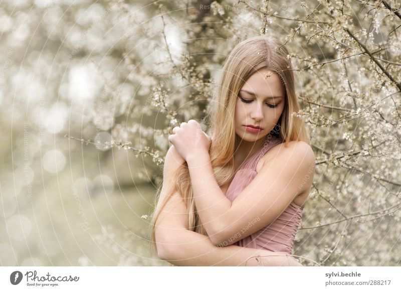 remember spring Elegant Beautiful Hair and hairstyles Calm Human being Feminine Young woman Youth (Young adults) Life 1 18 - 30 years Adults Environment Nature