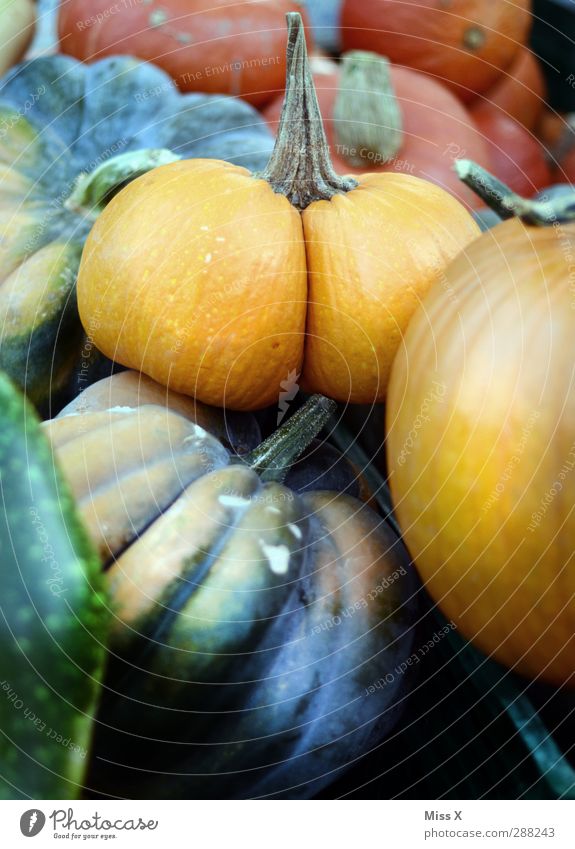 crack Food Vegetable Nutrition Organic produce Vegetarian diet Bottom Funny Pumpkin Farmer's market Vegetable market Colour photo Multicoloured Close-up