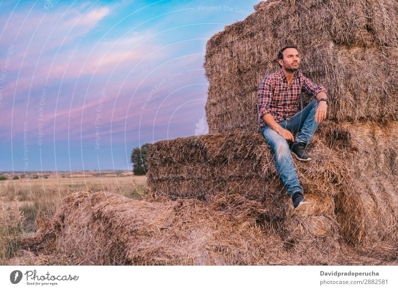 Happy man sitting on a pile of hay Man Farmer Hay Summer Caucasian Landscape Nature Countries Sky Relaxation Lifestyle Work and employment Seasons Exterior shot