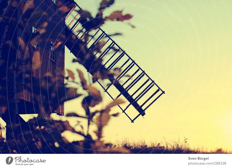 Windmill at sunset Vacation & Travel Tourism Trip Sightseeing Museum Architecture Culture Nature Landscape Cloudless sky Sunrise Sunset Autumn Beautiful weather