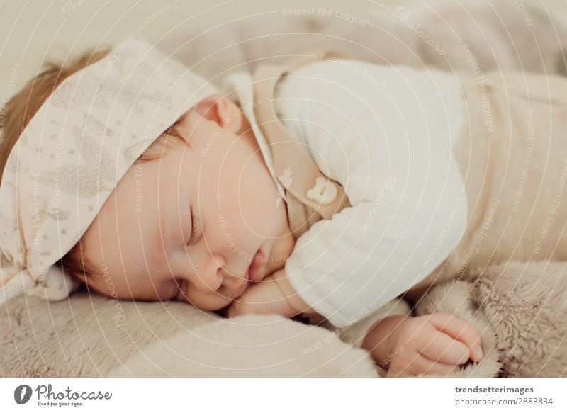 Portrait of a newborn baby sleeping Beautiful Face Life Child Baby Infancy Sleep Dream Small Natural New Cute Soft White Innocent Newborn blanket Caucasian kid