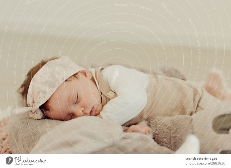 Portrait of a newborn baby sleeping Beautiful Face Life Child Baby Infancy Sleep Dream Small Natural New Cute Soft White Innocent Newborn blanket Caucasian kid