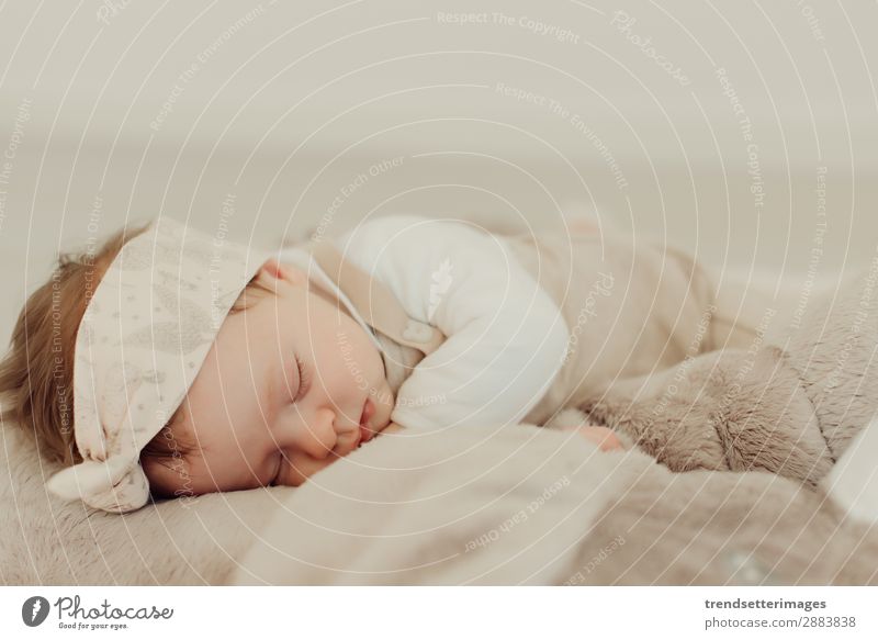 Portrait of a newborn baby sleeping Beautiful Face Life Child Baby Infancy Sleep Dream Small Natural New Cute Soft White Innocent Newborn blanket Caucasian kid