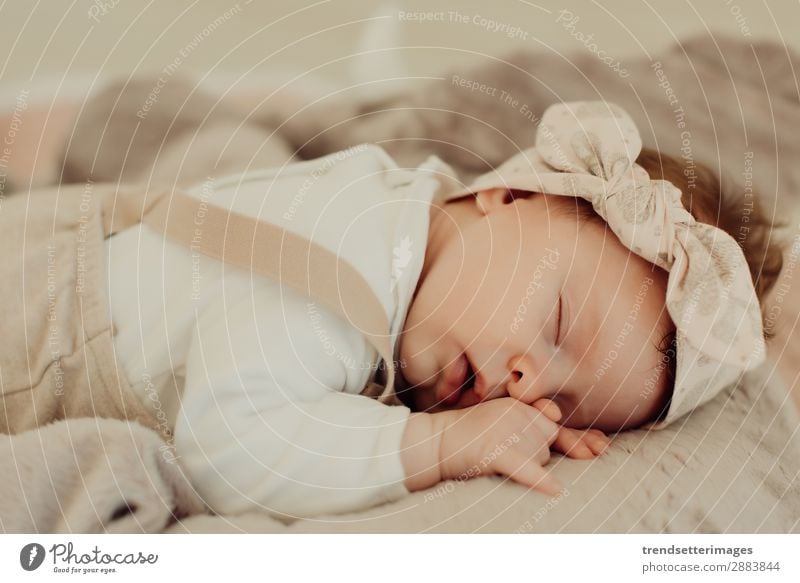 Portrait of a newborn baby sleeping Beautiful Face Life Child Baby Infancy Sleep Dream Small Natural New Cute Soft White Innocent Newborn blanket Caucasian kid