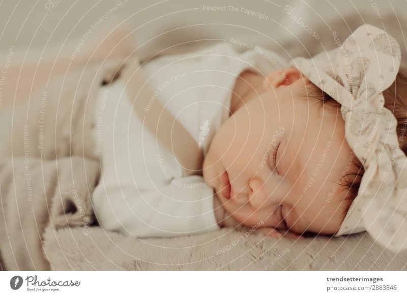 Portrait of a newborn baby sleeping Beautiful Face Life Child Baby Infancy Sleep Dream Small Natural New Cute Soft White Innocent Newborn blanket Caucasian kid