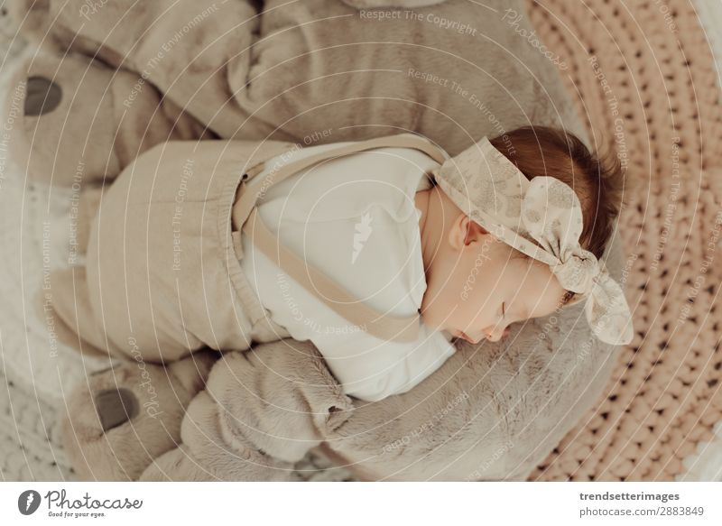 Portrait of a newborn baby sleeping Beautiful Face Life Child Baby Infancy Sleep Dream Small Natural New Cute Soft White Innocent Newborn blanket Caucasian kid