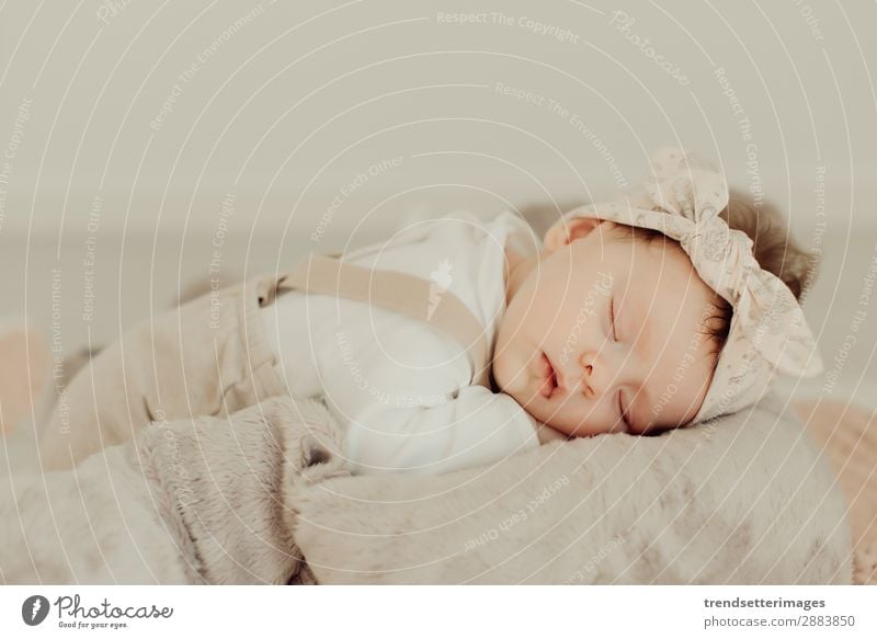 Portrait of a newborn baby sleeping Beautiful Face Life Child Baby Infancy Sleep Dream Small Natural New Cute Soft White Innocent Newborn blanket Caucasian kid