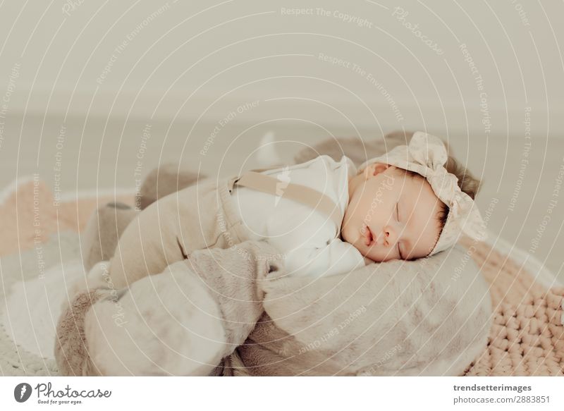 Portrait of a newborn baby sleeping Beautiful Face Life Child Baby Infancy Sleep Dream Small Natural New Cute Soft White Innocent Newborn blanket Caucasian kid