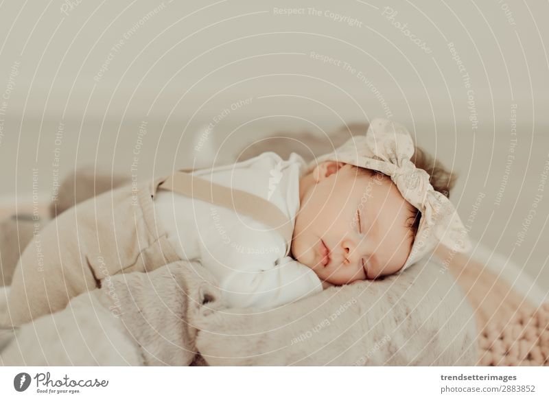 Portrait of a newborn baby sleeping Beautiful Face Life Child Baby Infancy Sleep Dream Small Natural New Cute Soft White Innocent Newborn blanket Caucasian kid