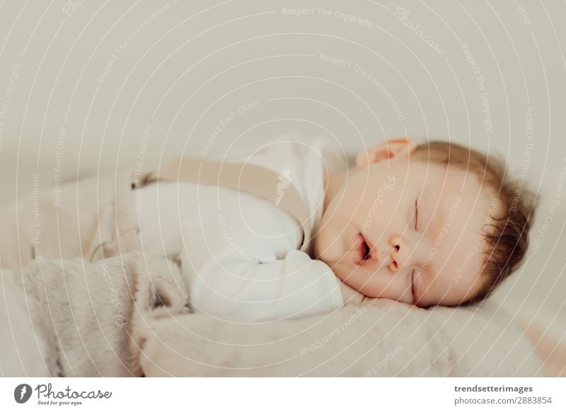 Portrait of a newborn baby sleeping Beautiful Face Life Child Baby Infancy Sleep Dream Small Natural New Cute Soft White Innocent Newborn blanket Caucasian kid