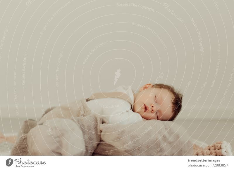 Portrait of a newborn baby sleeping Beautiful Face Life Child Baby Infancy Sleep Dream Small Natural New Cute Soft White Innocent Newborn blanket Caucasian kid