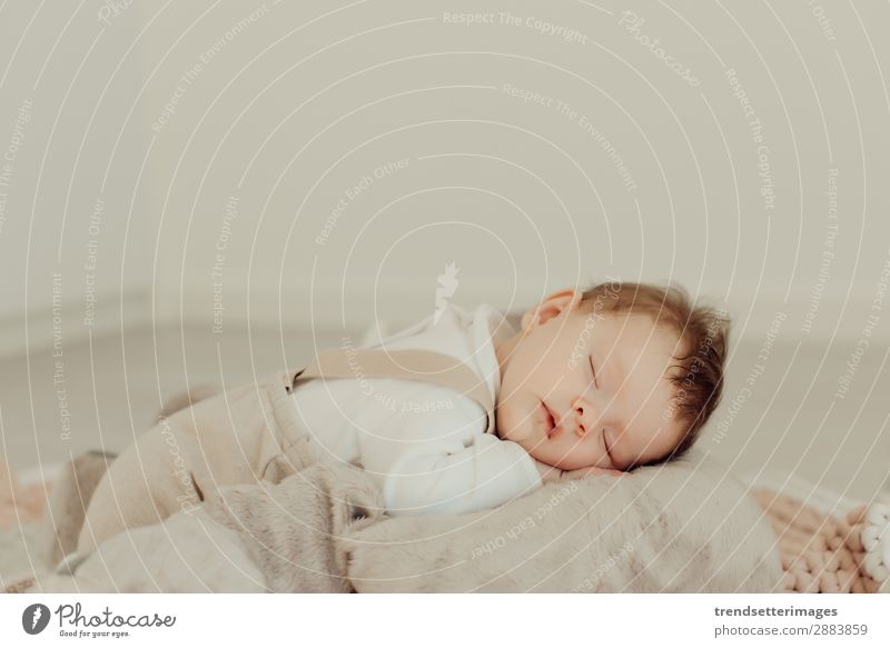 Portrait of a newborn baby sleeping Beautiful Face Life Child Baby Infancy Sleep Dream Small Natural New Cute Soft White Innocent Newborn blanket Caucasian kid