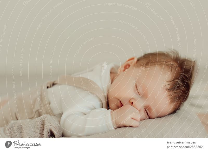 Portrait of a newborn baby sleeping Beautiful Face Life Child Baby Infancy Sleep Dream Small Natural New Cute Soft White Innocent Newborn blanket Caucasian kid