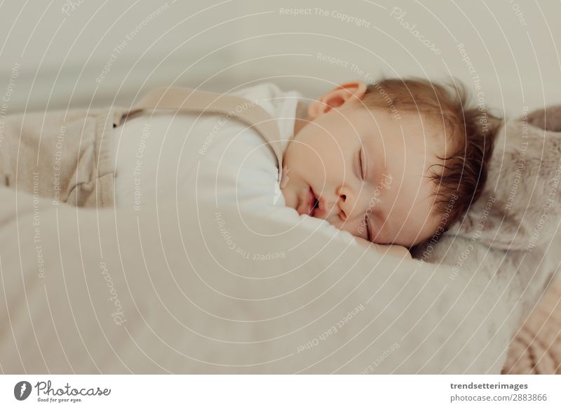 Portrait of a newborn baby sleeping Beautiful Face Life Child Baby Infancy Sleep Dream Small Natural New Cute Soft White Innocent Newborn blanket Caucasian kid