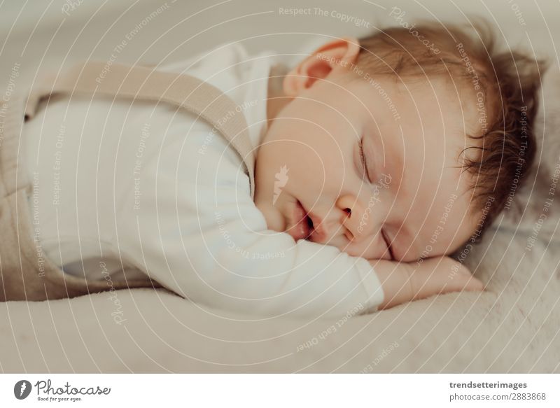 Portrait of a newborn baby sleeping Beautiful Face Life Child Baby Infancy Sleep Dream Small Natural New Cute Soft White Innocent Newborn blanket Caucasian kid