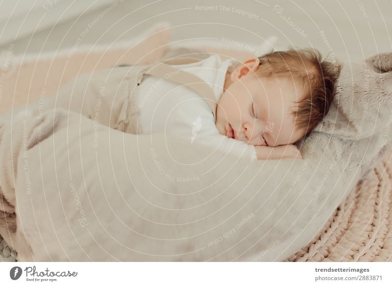 Portrait of a newborn baby sleeping Beautiful Face Life Child Baby Infancy Sleep Dream Small Natural New Cute Soft White Innocent Newborn blanket Caucasian kid