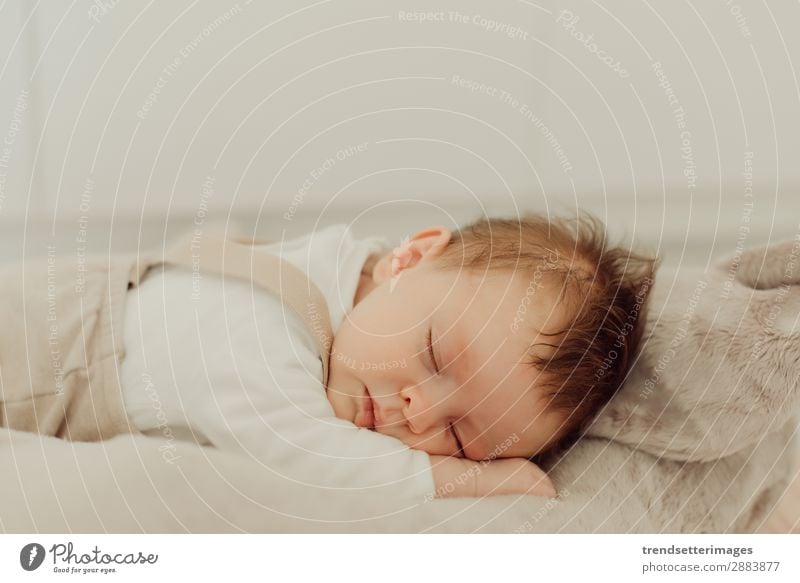 Portrait of a newborn baby sleeping Beautiful Face Life Child Baby Infancy Sleep Dream Small Natural New Cute Soft White Innocent Newborn blanket Caucasian kid