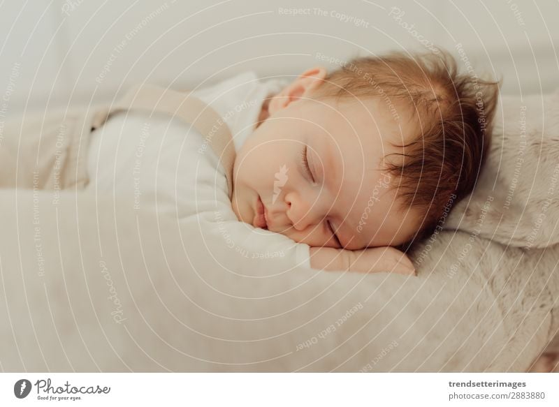 Portrait of a newborn baby sleeping Beautiful Face Life Child Baby Infancy Sleep Dream Small Natural New Cute Soft White Innocent Newborn blanket Caucasian kid