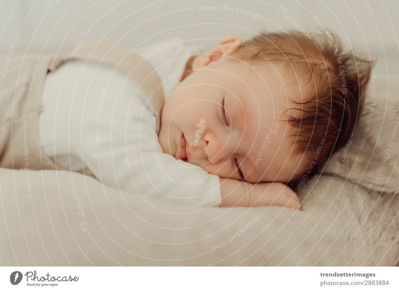 Portrait of a newborn baby sleeping Beautiful Face Life Child Baby Infancy Sleep Dream Small Natural New Cute Soft White Innocent Newborn blanket Caucasian kid