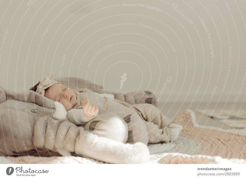 Portrait of a newborn baby sleeping Beautiful Face Life Child Baby Infancy Sleep Dream Small Natural New Cute Soft White Innocent Newborn blanket Caucasian kid