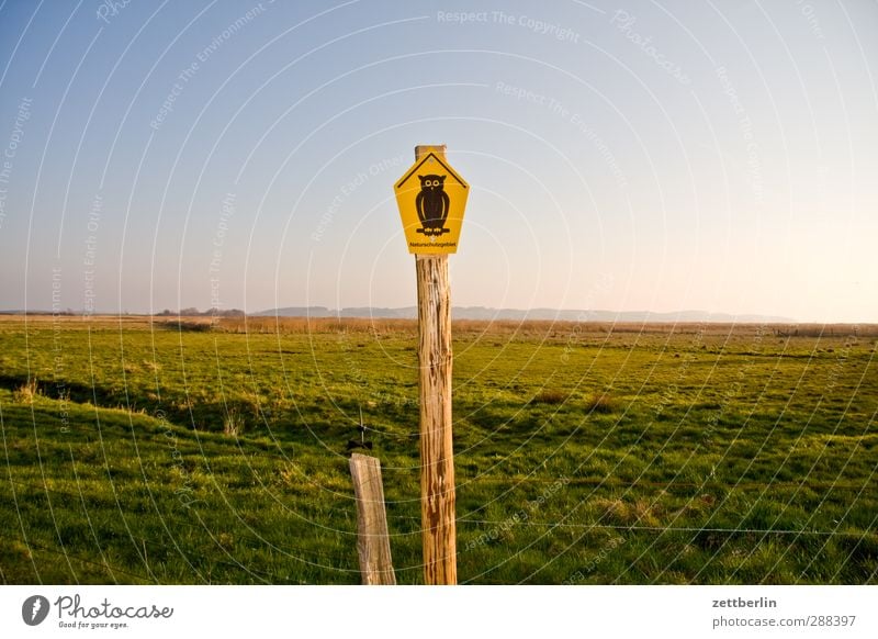 nature conservation Environment Landscape Plant Sky Horizon Sun Sunrise Sunset Sunlight Climate Climate change Weather Beautiful weather Grass Foliage plant