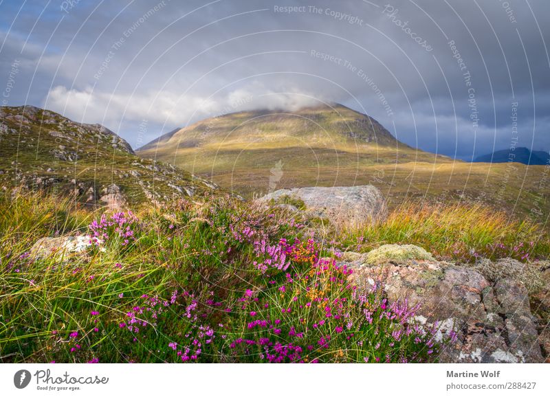 cheerful to cloudy Vacation & Travel Trip Mountain Nature Landscape Plant Clouds Weather Grass Bushes Moss Hill Heathland applecross Great Britain Scotland