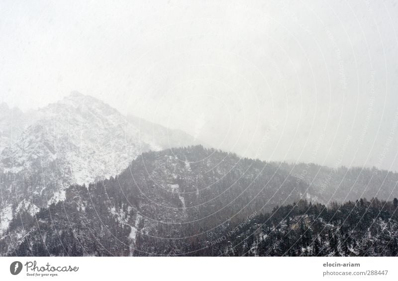 grayscale Nature Landscape Winter Snow Alps Snowcapped peak Stone Firm Cold Gray White Might Adventure Grief Black & white photo Exterior shot Deserted